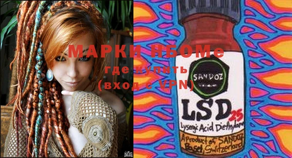 spice Аркадак