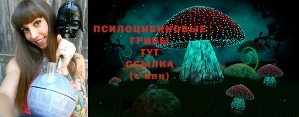 spice Аркадак